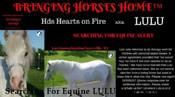 Searching For Equine LULU Near Saxesville , WI, 54984